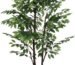 Why We Love the 7.22ft Realistic Ficus Tree for Our Spaces