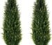 Our Review of 43in Artificial Cedar Trees: Easy Care & Stylish Decor