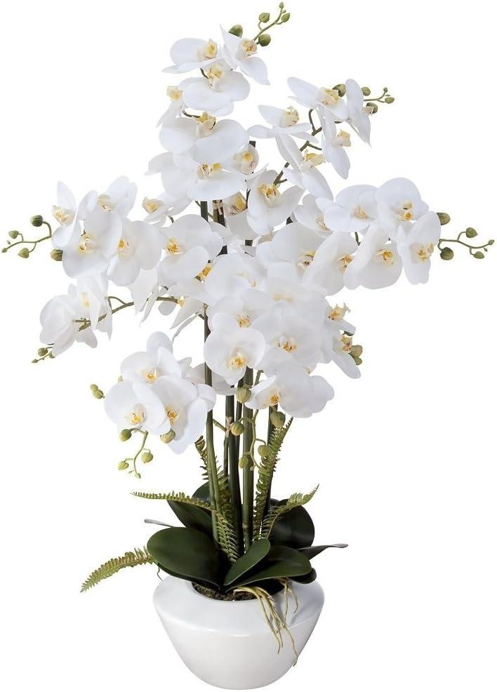Our Honest Review: Realistic White Phalaenopsis Orchid for Stylish Home Decor
