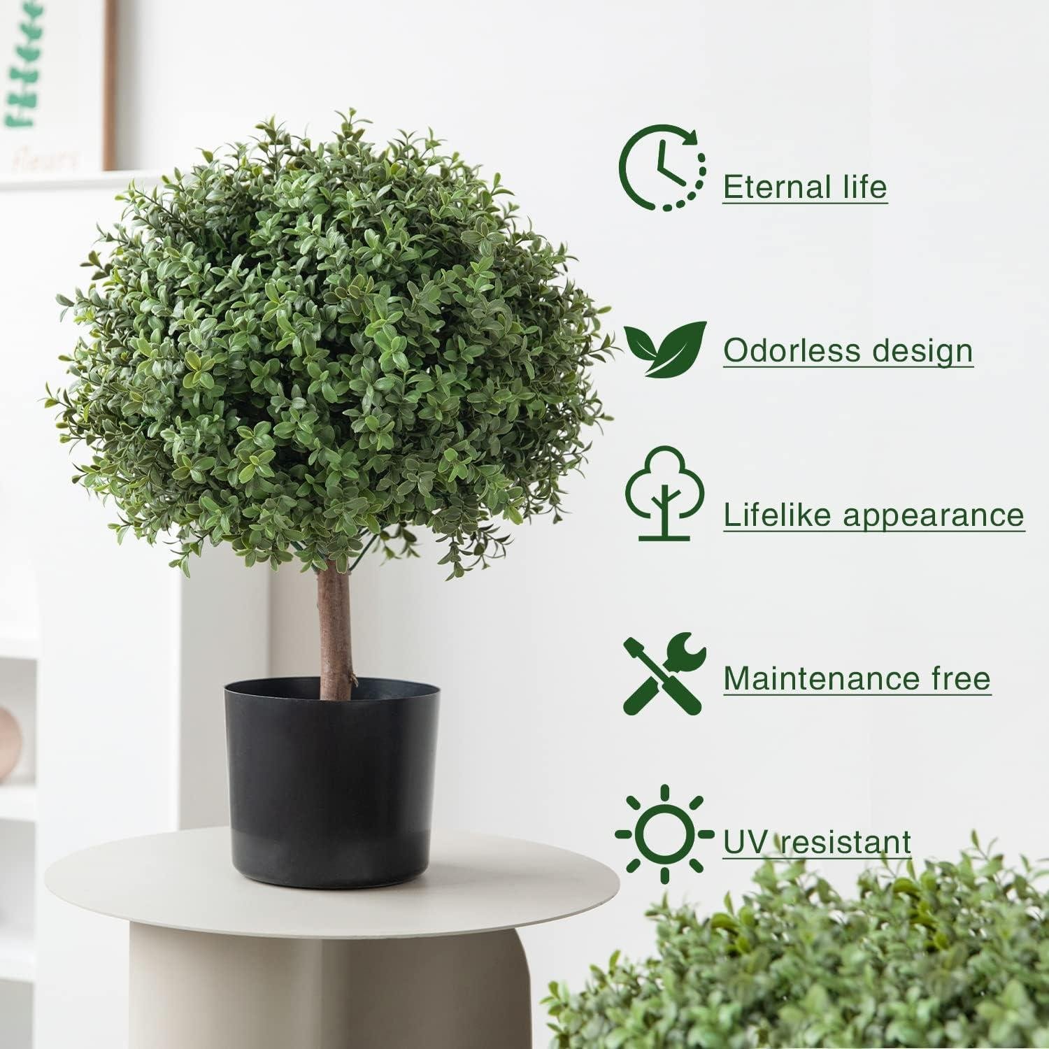 Our Honest Review: 2 Pack 24.5