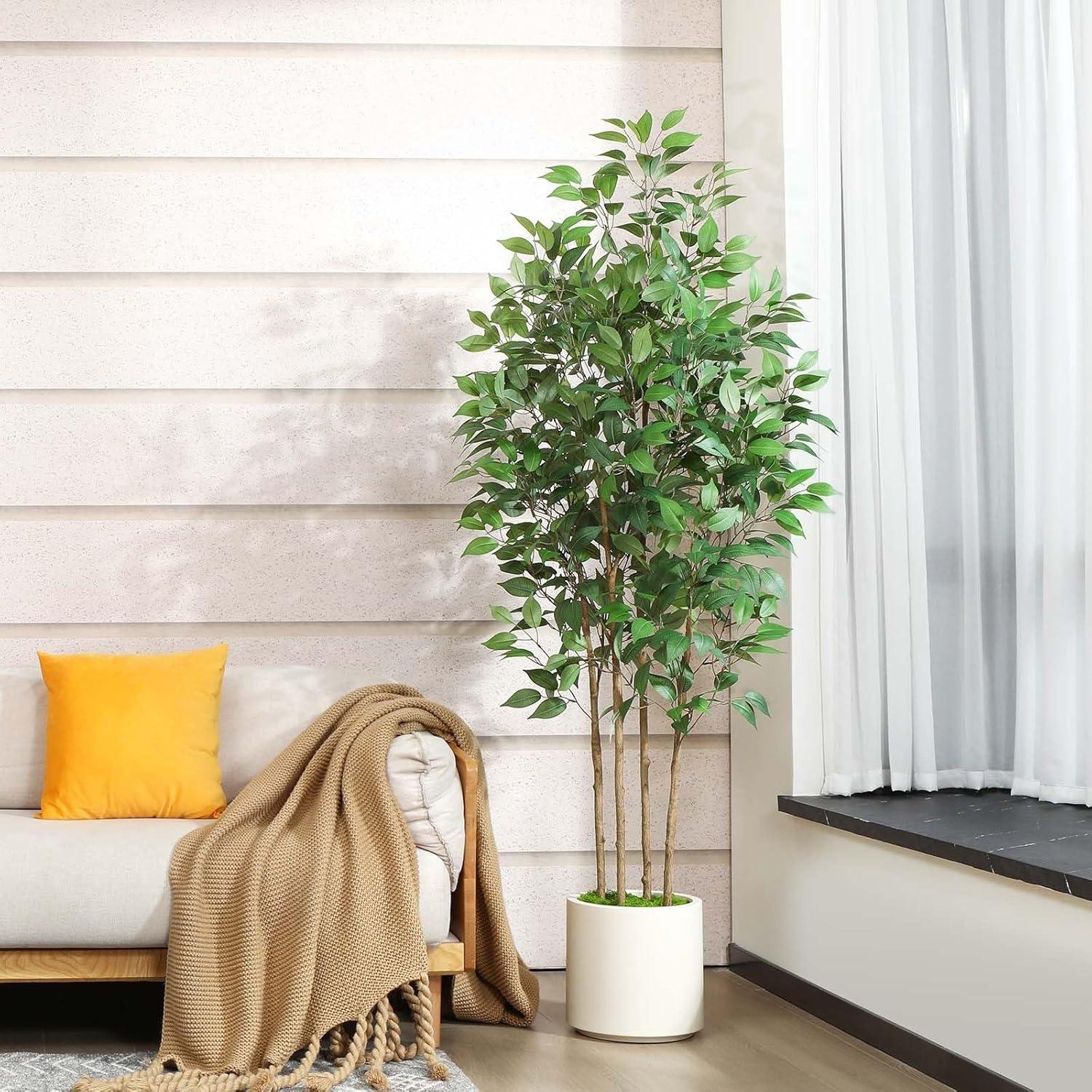 Our Friendly Review of the 6ft Ficus Artificial Tree for Indoor Decor