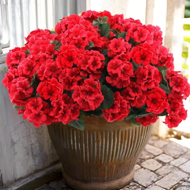 Our Review of Hananona 24-Pc Red Geraniums for Durable Outdoor Decor