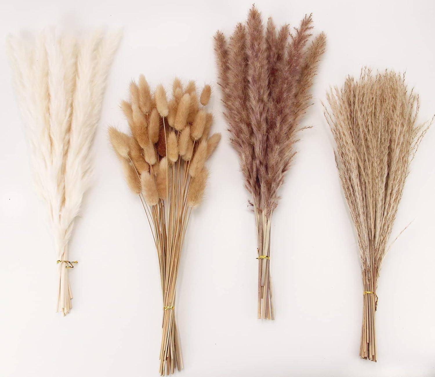 Our Review: Elegant Pampas Grass Bouquet for Warm Boho Decor