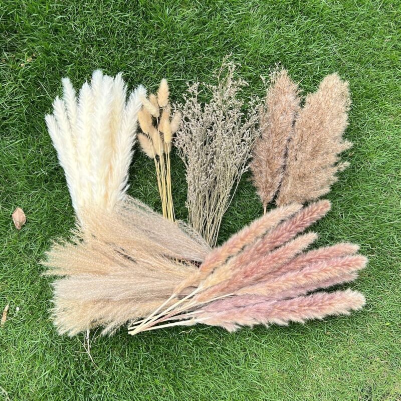 Our Review: 100Pcs Natural Pampas Grass for Boho Home Decor