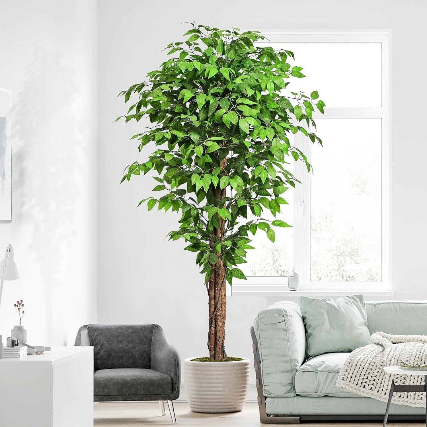Our Honest Review: Keeplush 6.2ft Realistic Ficus Artificial Tree