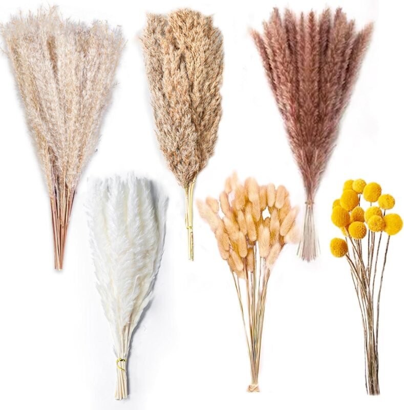 We Tried the 100PCS Natural Pampas Grass Bouquet: Wow!
