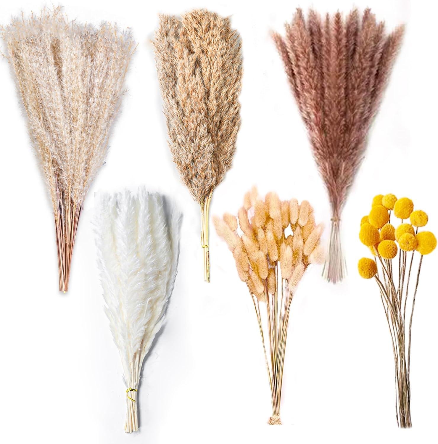 We Tried the 100PCS Natural Pampas Grass Bouquet: Wow!