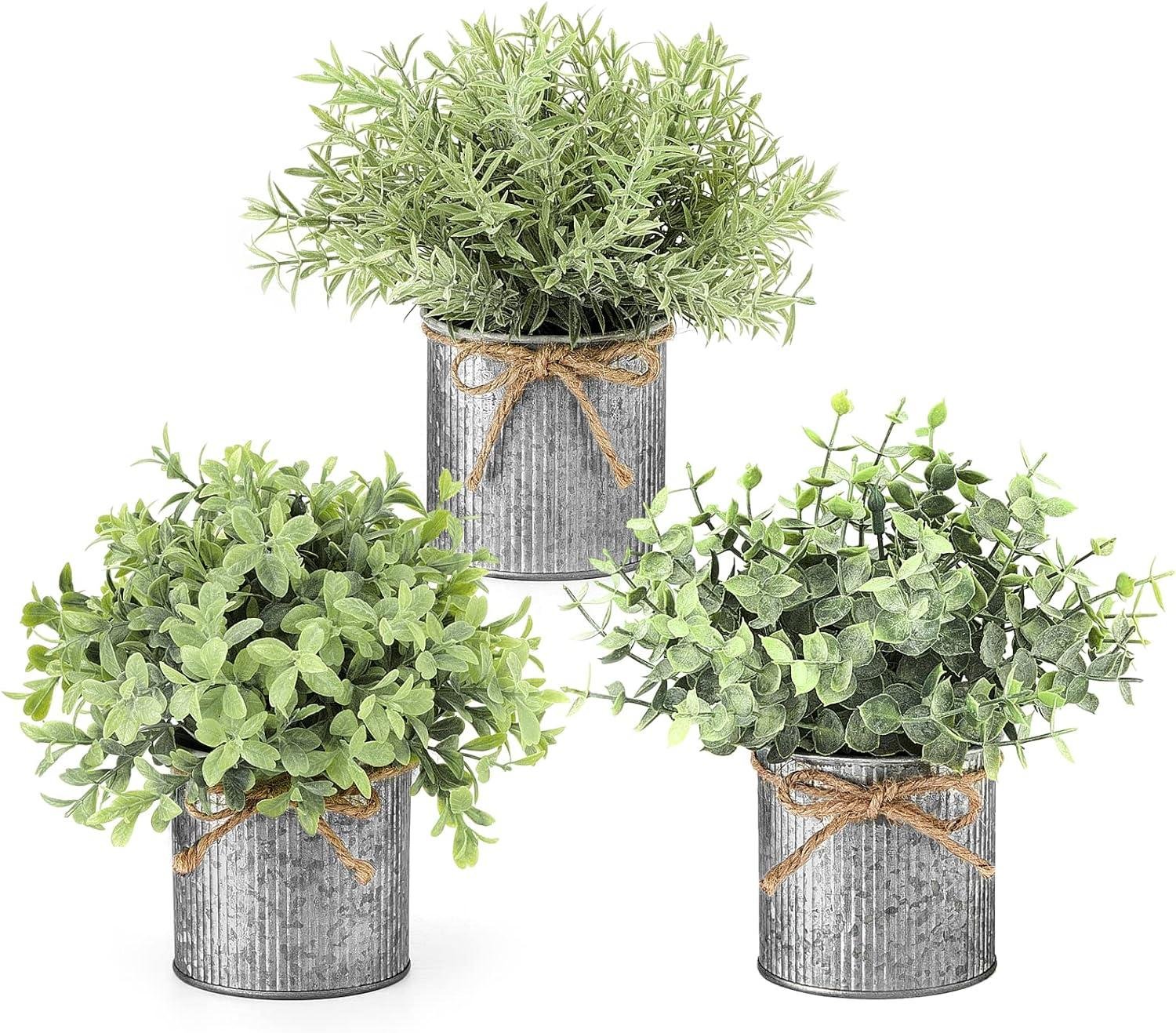 Our Review: Charming Farmhouse Faux Plants for Effortless Decor