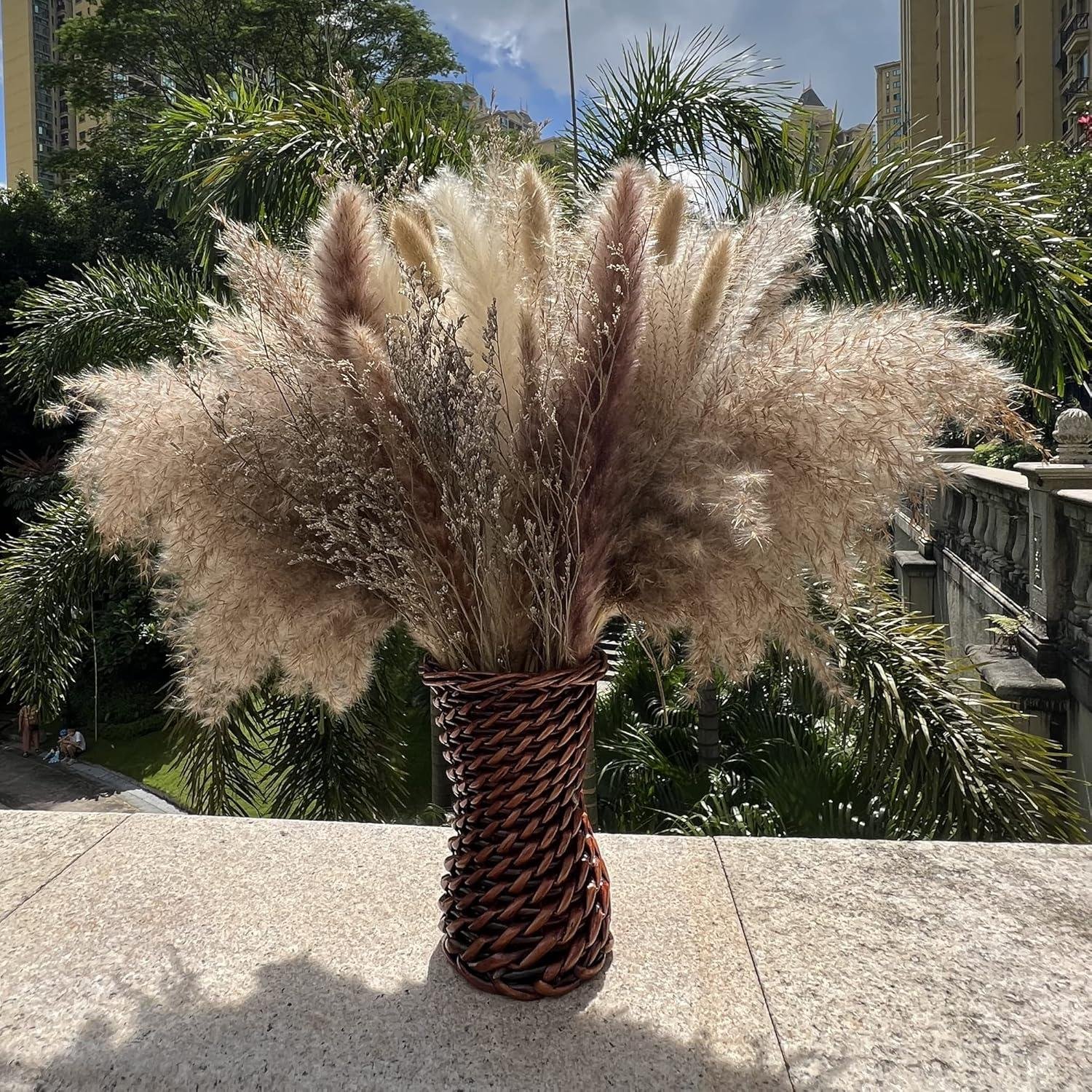 Our Review: 100Pcs Natural Pampas Grass for Boho Home Decor