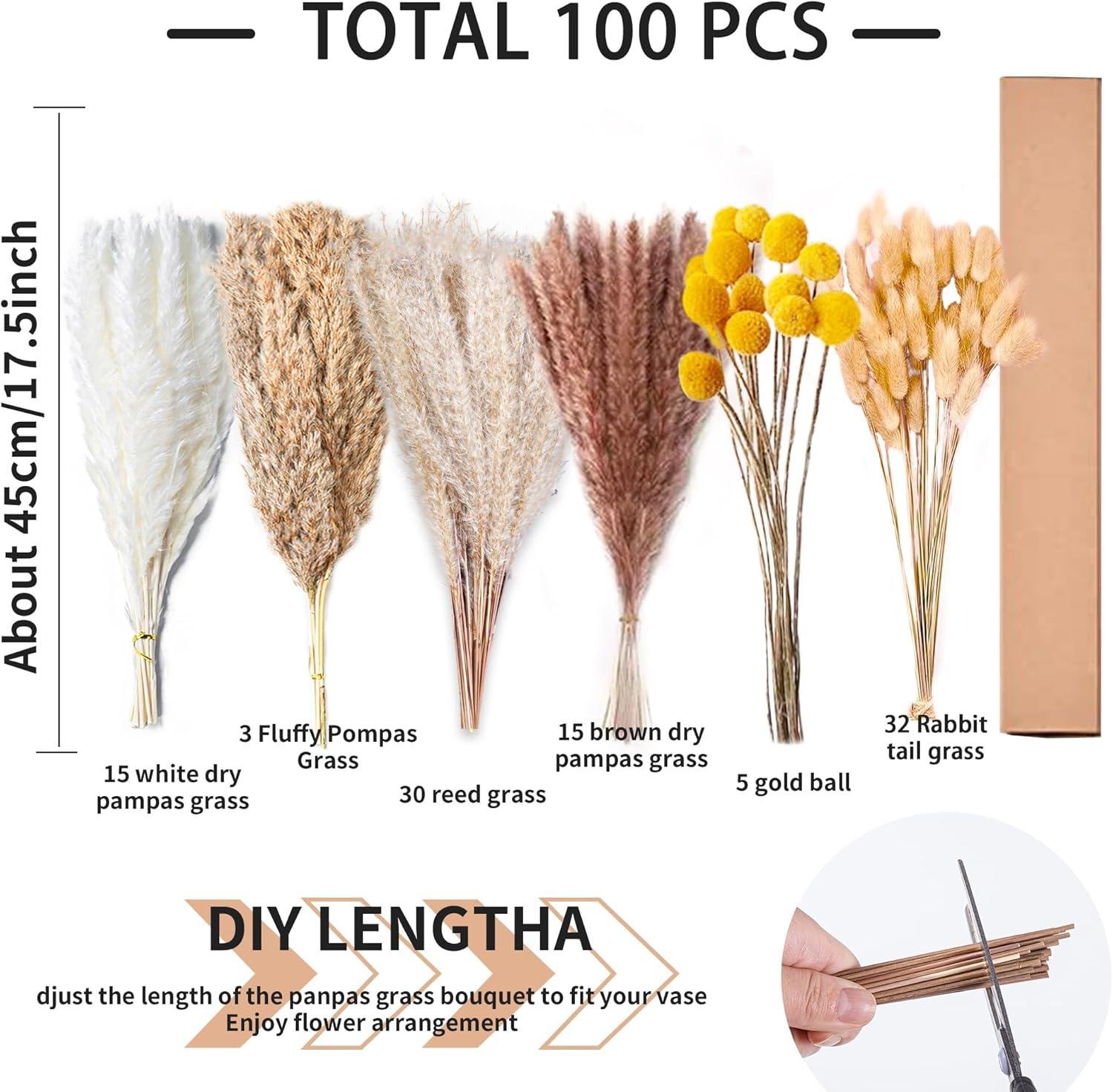 We Tried the 100PCS Natural Pampas Grass Bouquet: Wow!