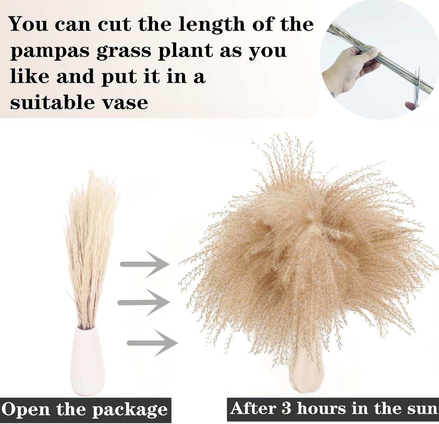 Our Review: Elegant Pampas Grass Bouquet for Warm Boho Decor