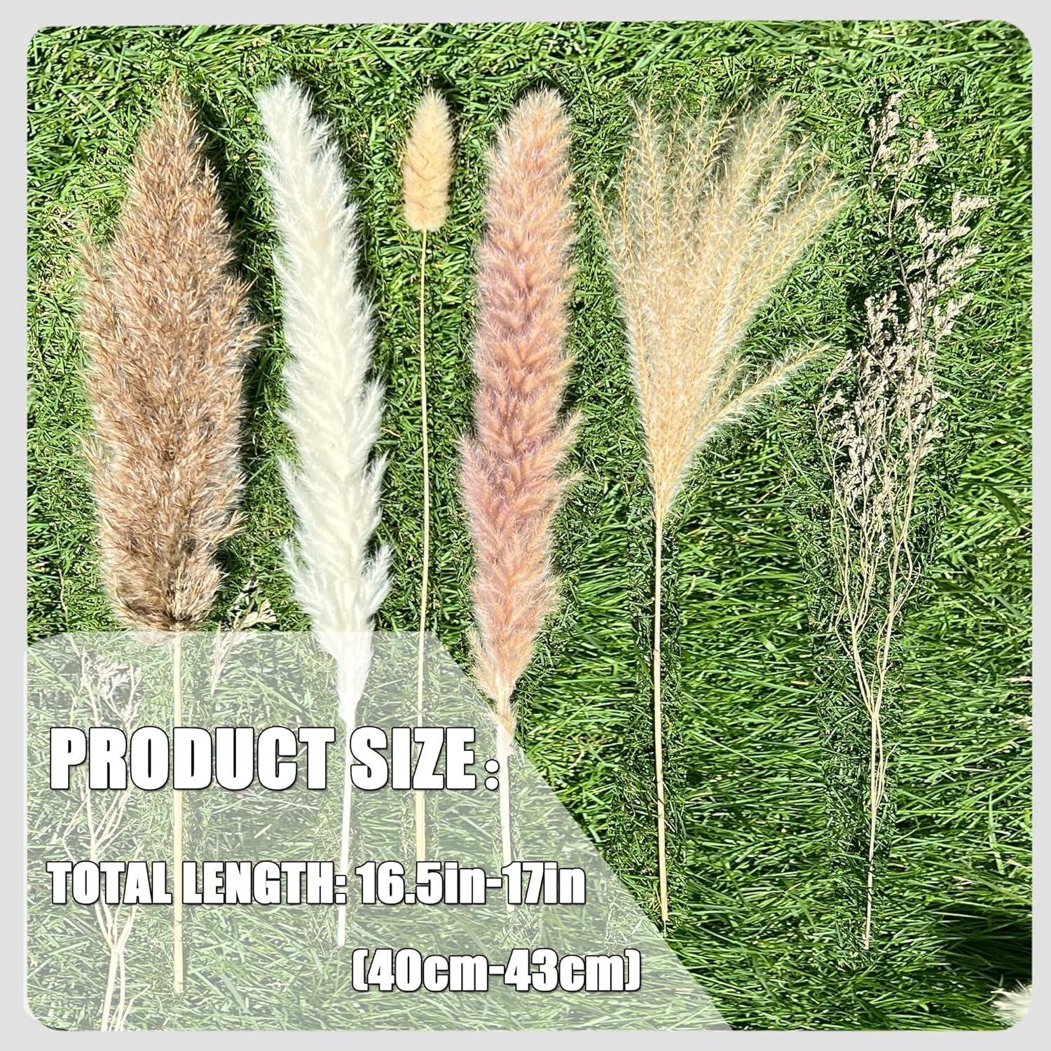 Our Review: 100Pcs Natural Pampas Grass for Boho Home Decor