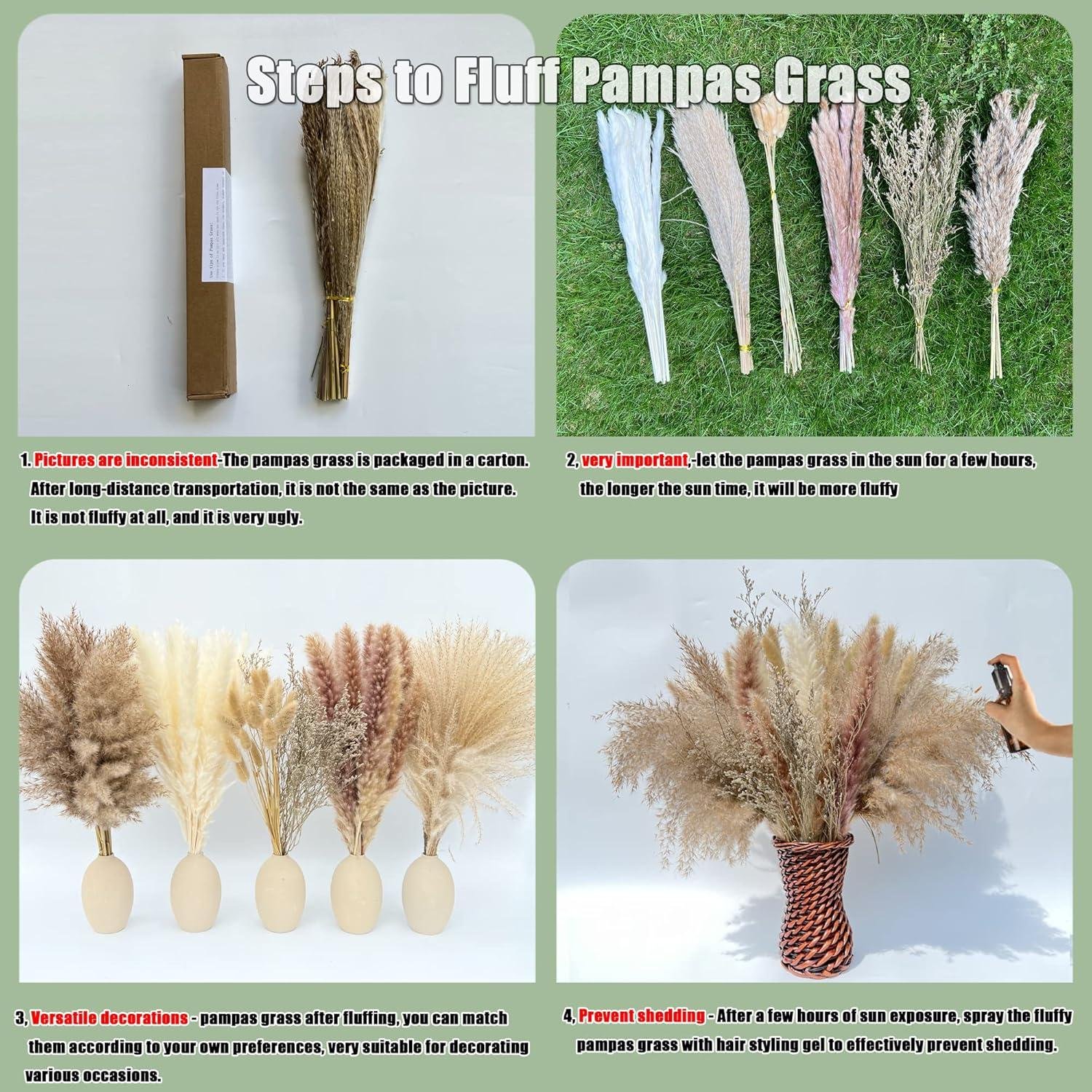 Our Review: 100Pcs Natural Pampas Grass for Boho Home Decor