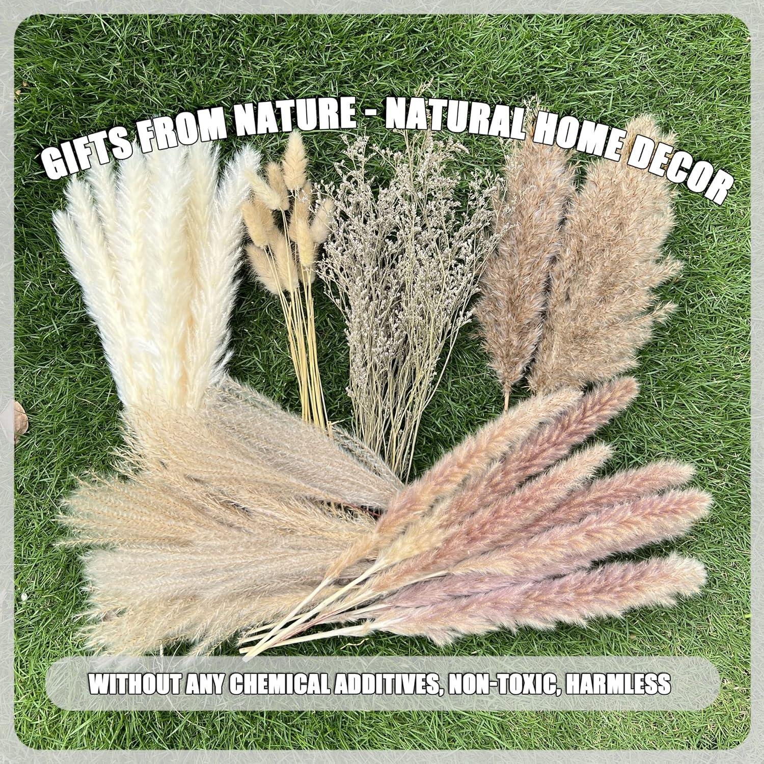 Our Review: 100Pcs Natural Pampas Grass for Boho Home Decor