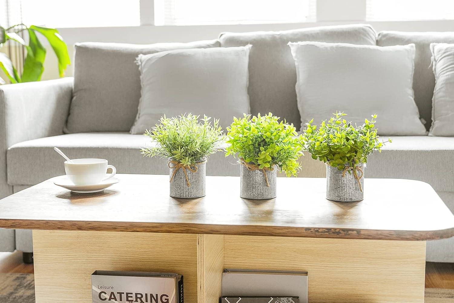 Our Review: Charming Farmhouse Faux Plants for Effortless Decor