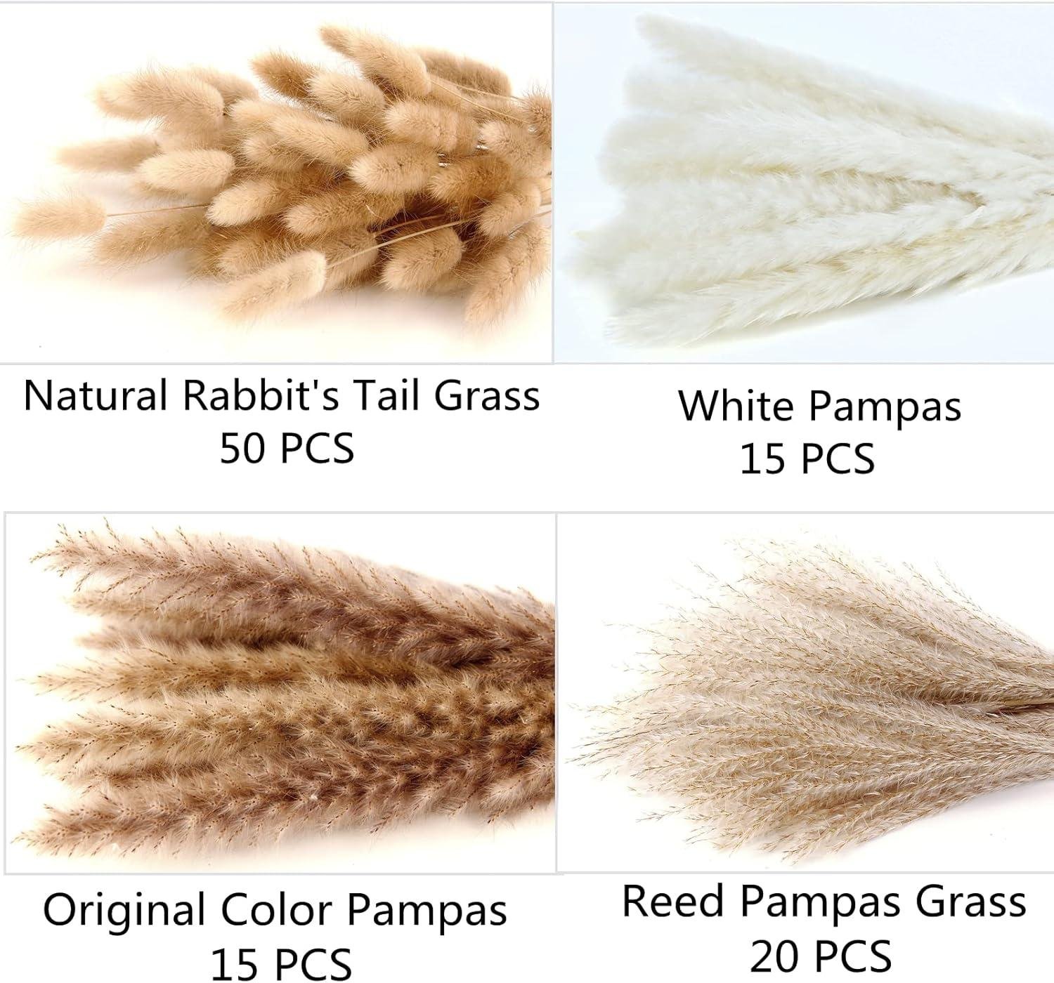Our Review: Elegant Pampas Grass Bouquet for Warm Boho Decor