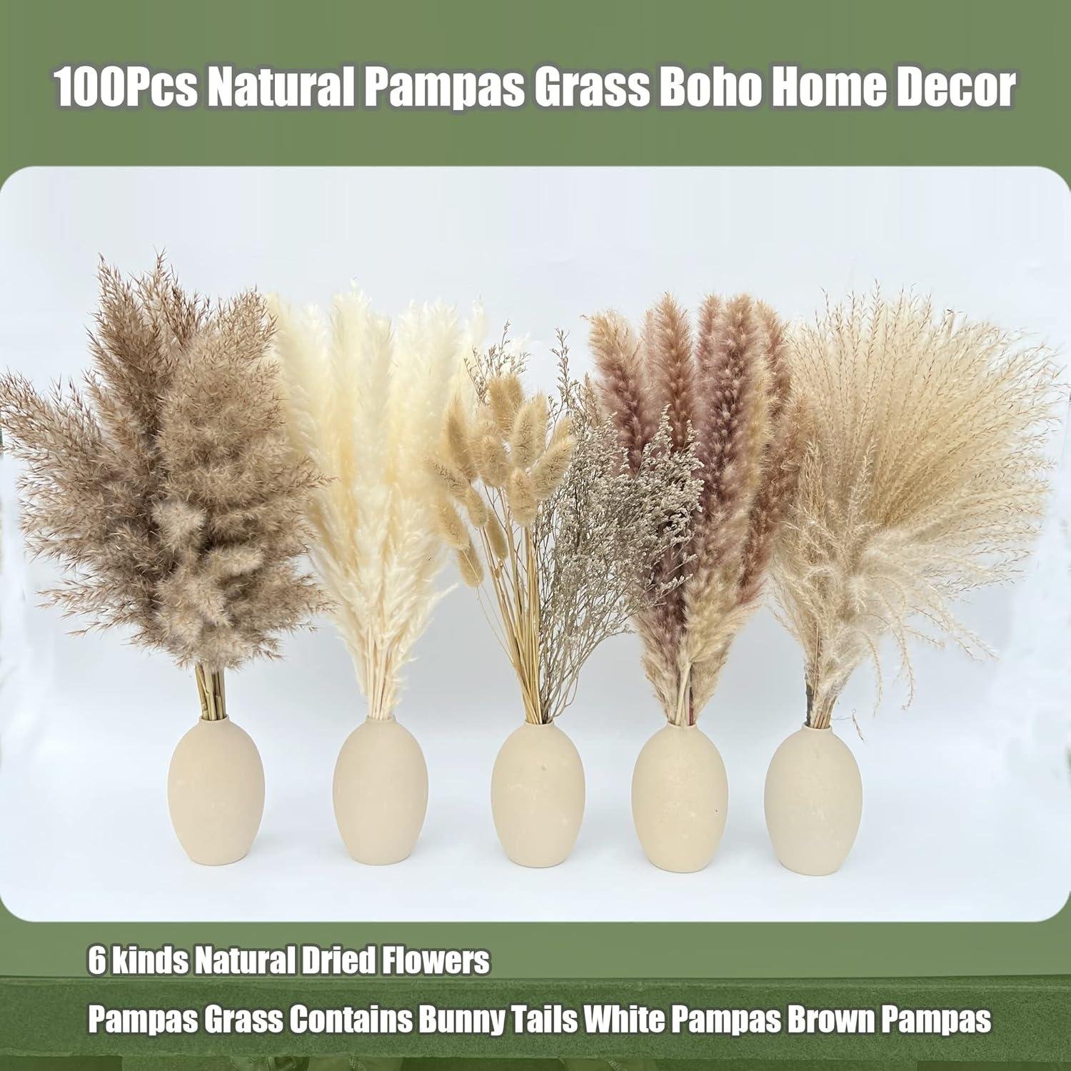 Our Review: 100Pcs Natural Pampas Grass for Boho Home Decor