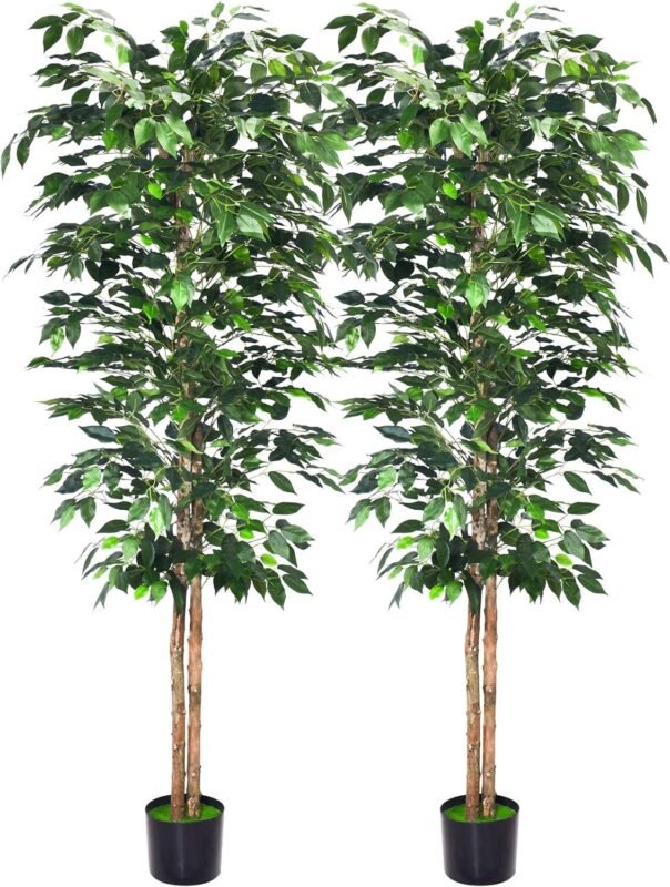 Our Honest Take on 6Ft Artificial Ficus Trees: Style & Value Review
