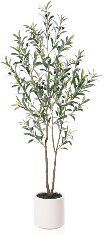 Our Review of LOMANTO’s 5ft Faux Olive Tree: Elegant Home Decor That Lasts