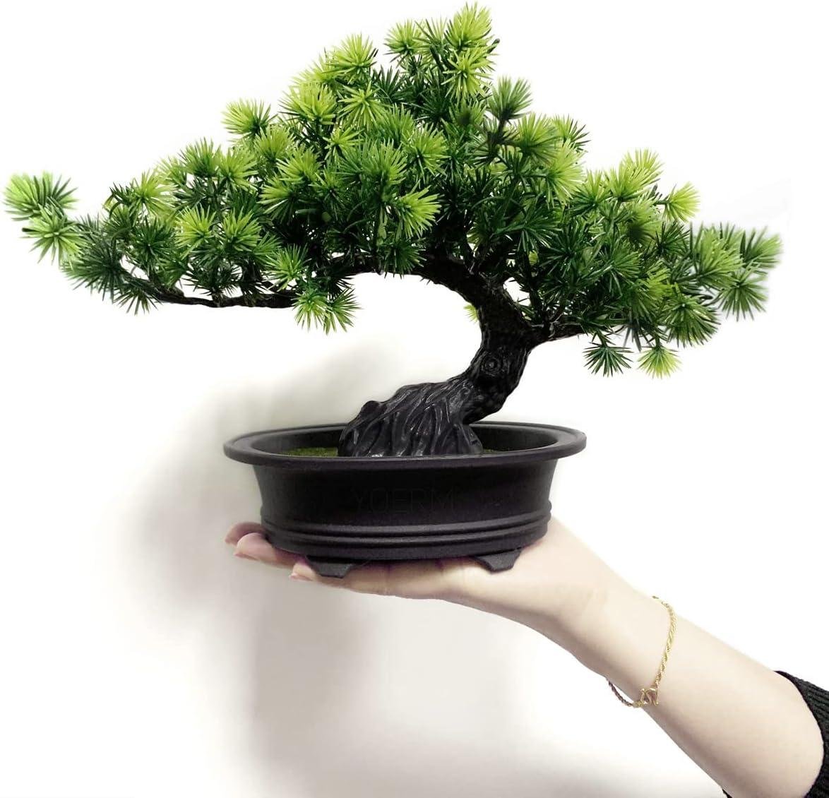 Elevating Your Space: Our Review of the Artificial Bonsai