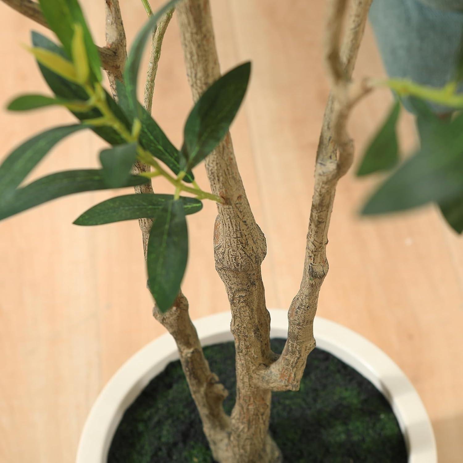 Our Review of LOMANTO's 5ft Faux Olive Tree: Elegant Home Decor That Lasts