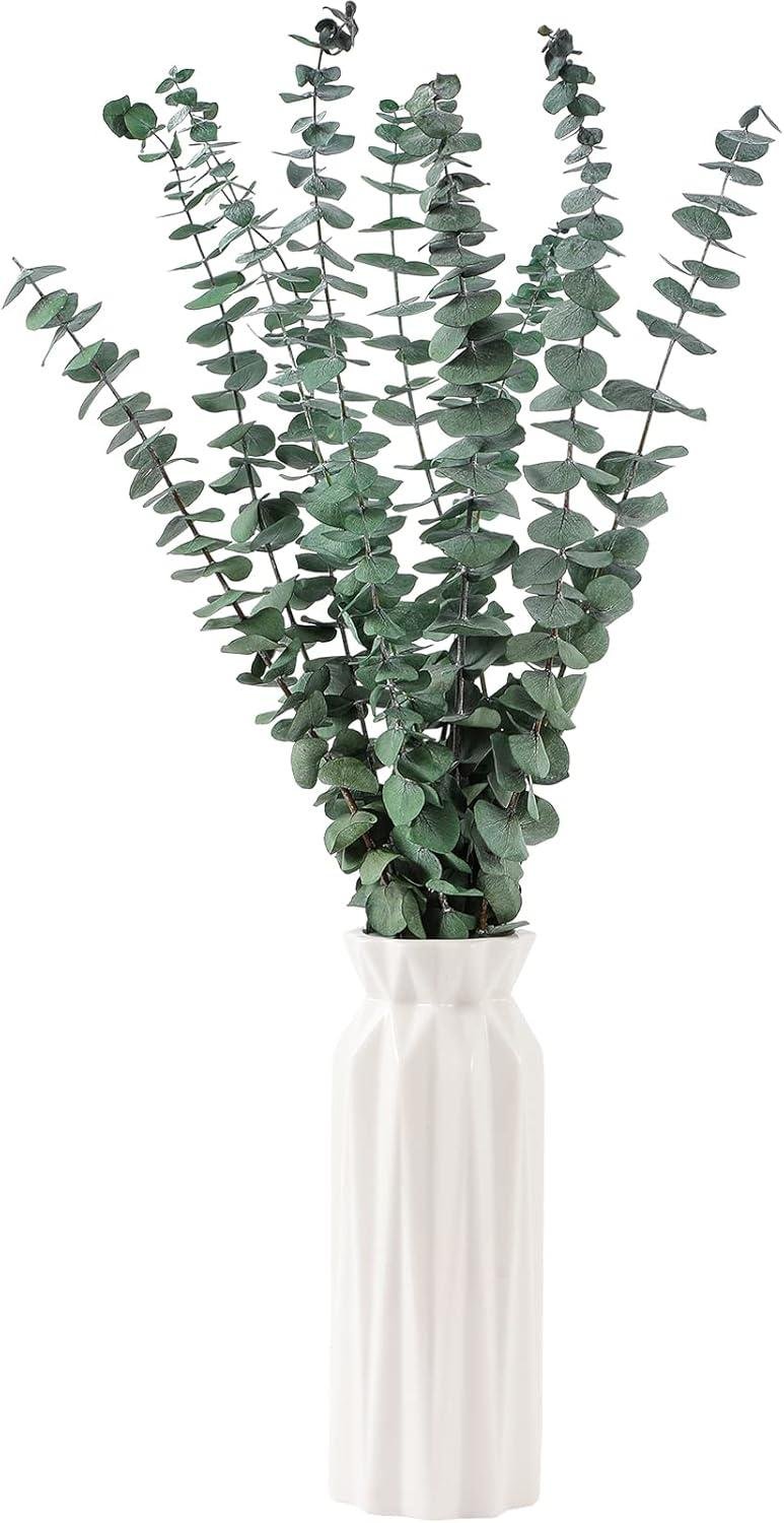Our Review of Natural Dried Eucalyptus Stems for Home & Spa