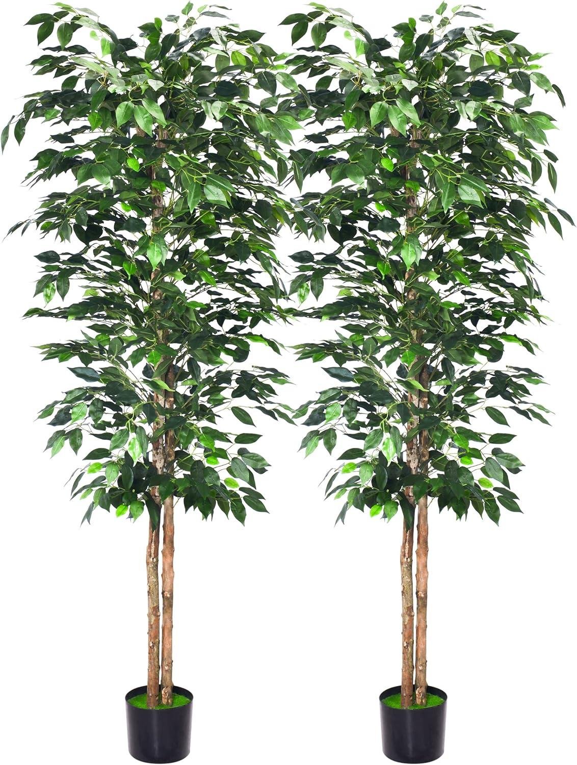 Our Honest Take on 6Ft Artificial Ficus Trees: Style & Value Review