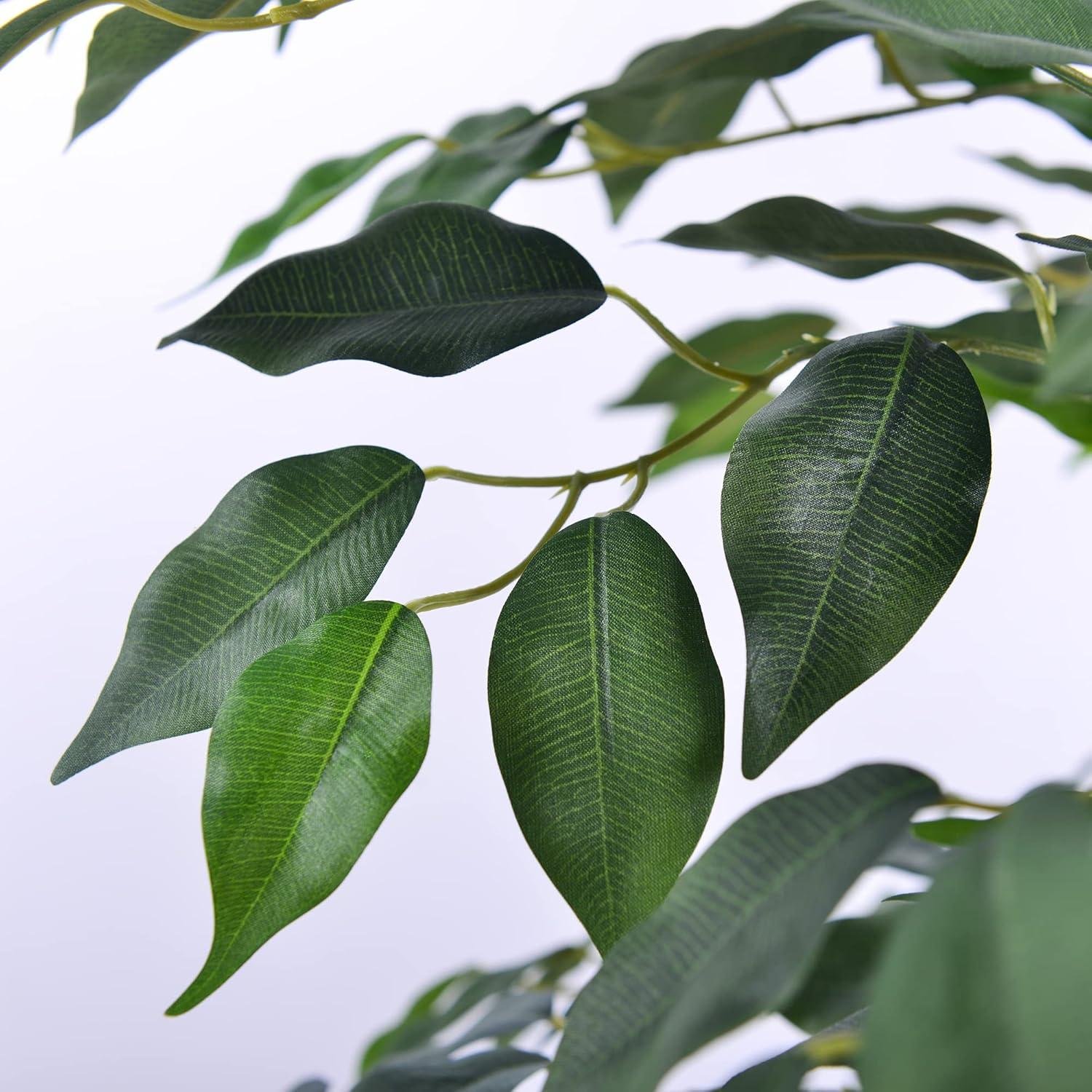 Our Honest Take on 6Ft Artificial Ficus Trees: Style & Value Review