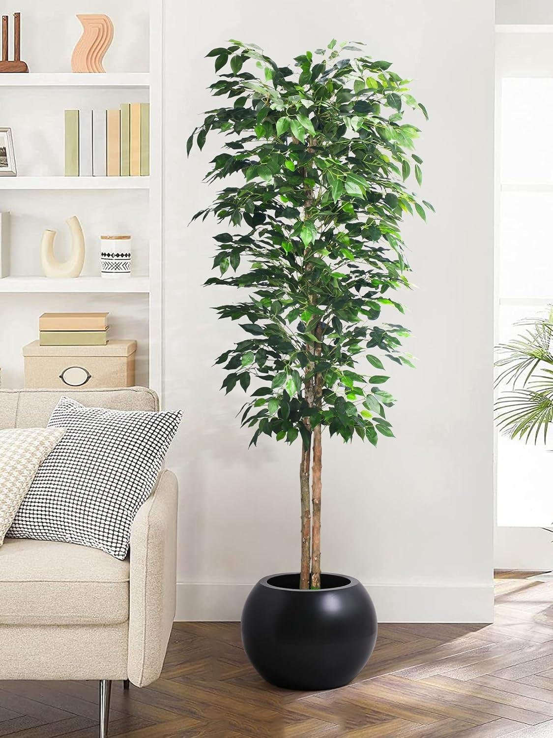Our Honest Take on 6Ft Artificial Ficus Trees: Style & Value Review