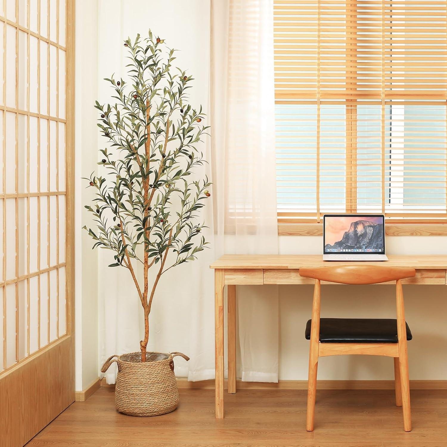 Our Review of Kazeila 6FT Artificial Olive Tree: Easy, Lifelike Decor