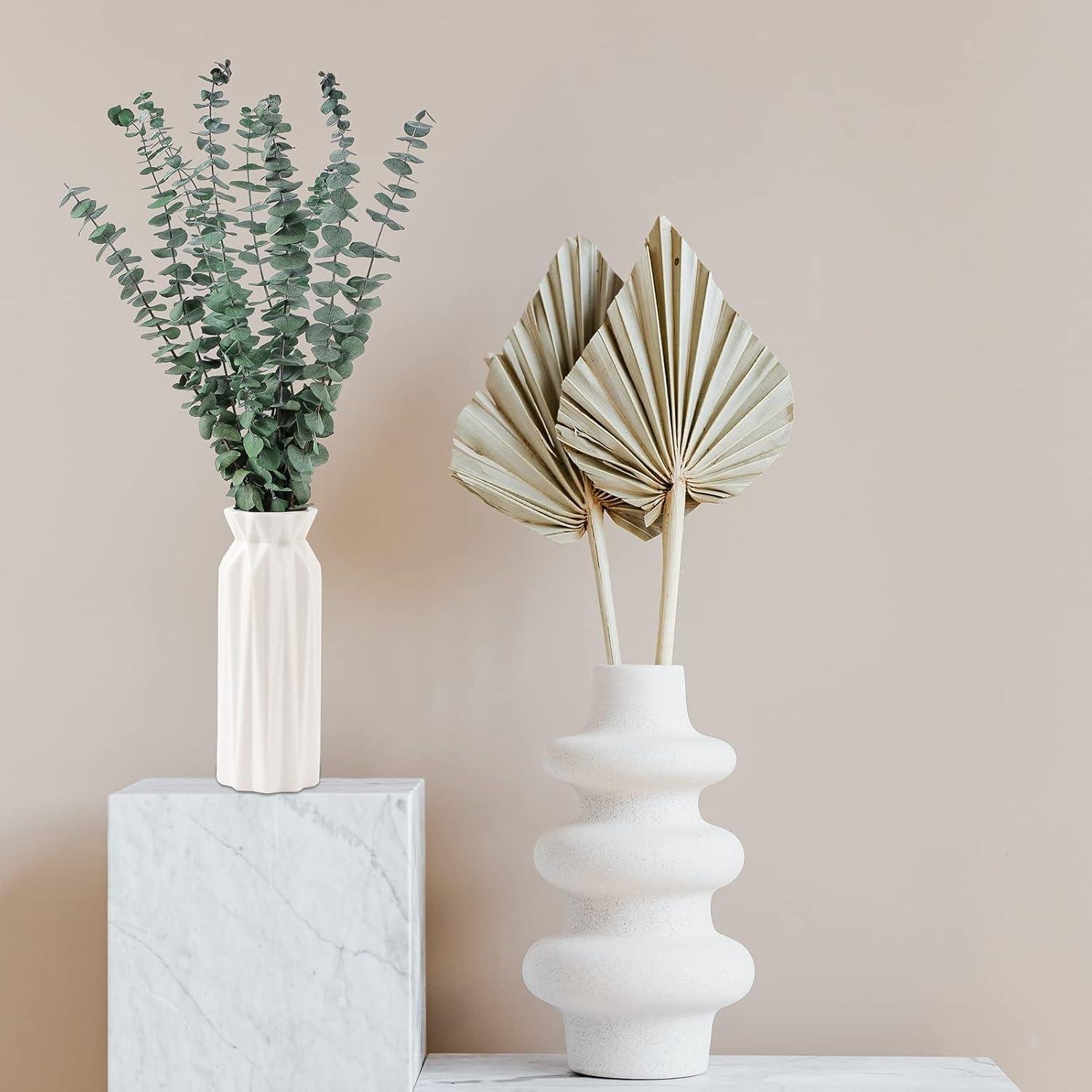Our Review of Natural Dried Eucalyptus Stems for Home & Spa