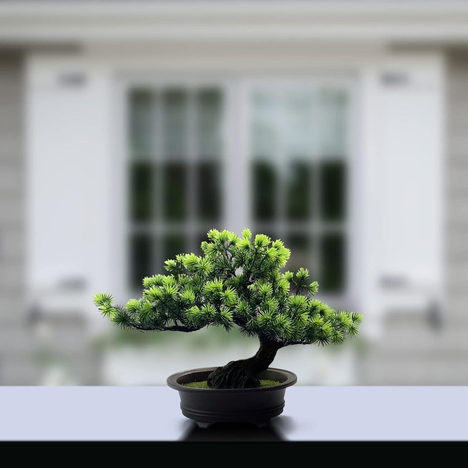 Elevating Your Space: Our Review of the Artificial Bonsai