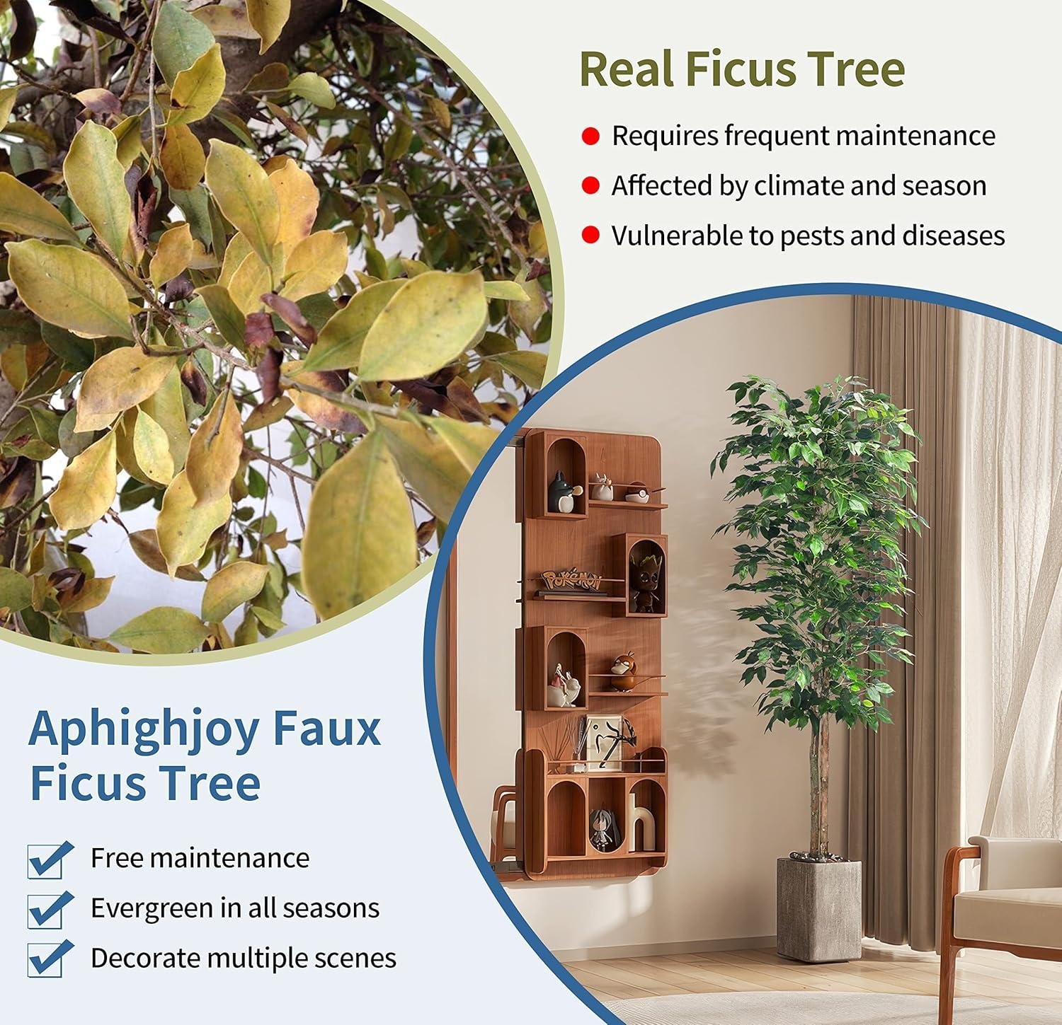 Our Honest Take on 6Ft Artificial Ficus Trees: Style & Value Review