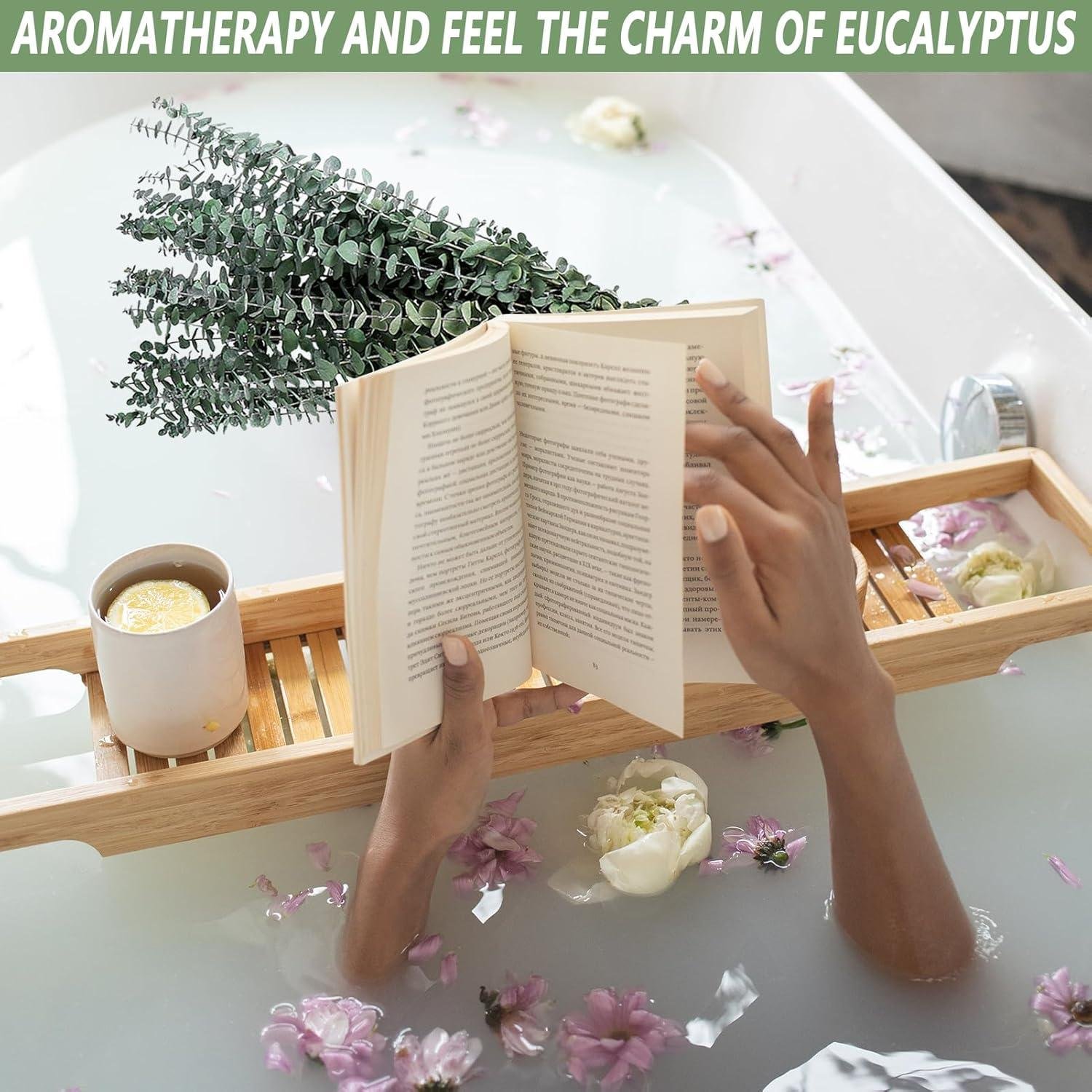 Our Review of Natural Dried Eucalyptus Stems for Home & Spa