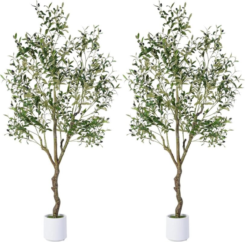 How We Loved the Realistic Look of the Jocoevol 6FT Olive Trees