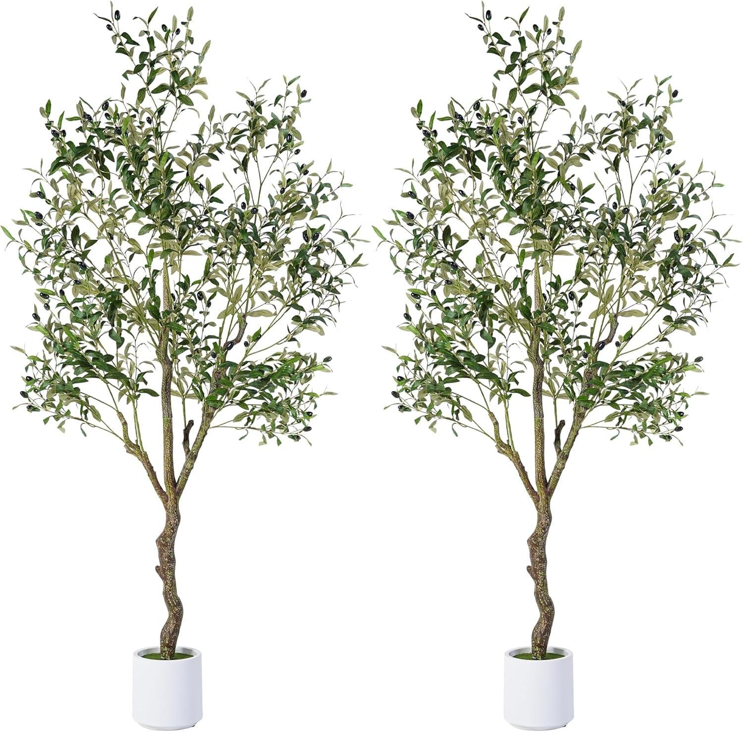 How We Loved the Realistic Look of the Jocoevol 6FT Olive Trees