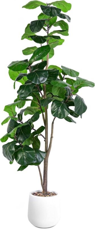 Our Review: Beautiful & Easy 6ft Artificial Fiddle Leaf Tree with Planter