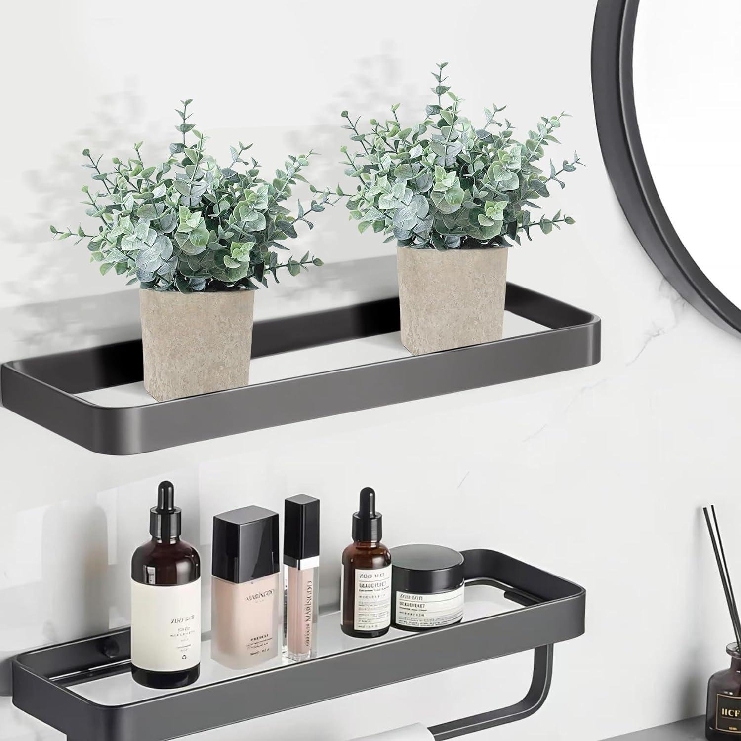 Stylish Mini Eucalyptus Plants: Our Favorite Small Space Greenery