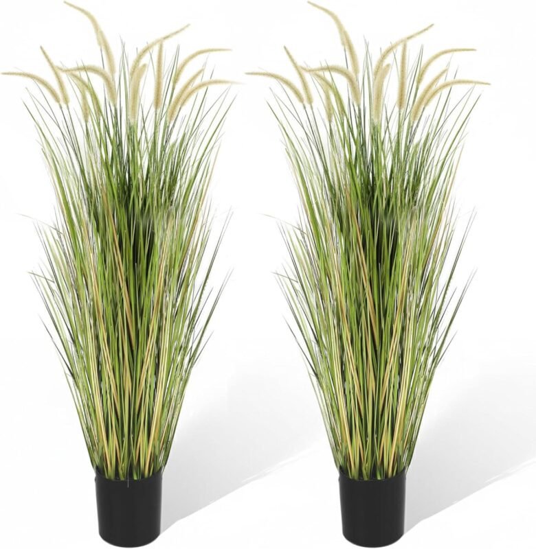 Our Friendly Review: KOL 5ft Horsetail Reed Grass Duo’s Look & Quality