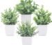 Our Review: Der Rose Mini Plants Add Lifelike Charm to Any Space
