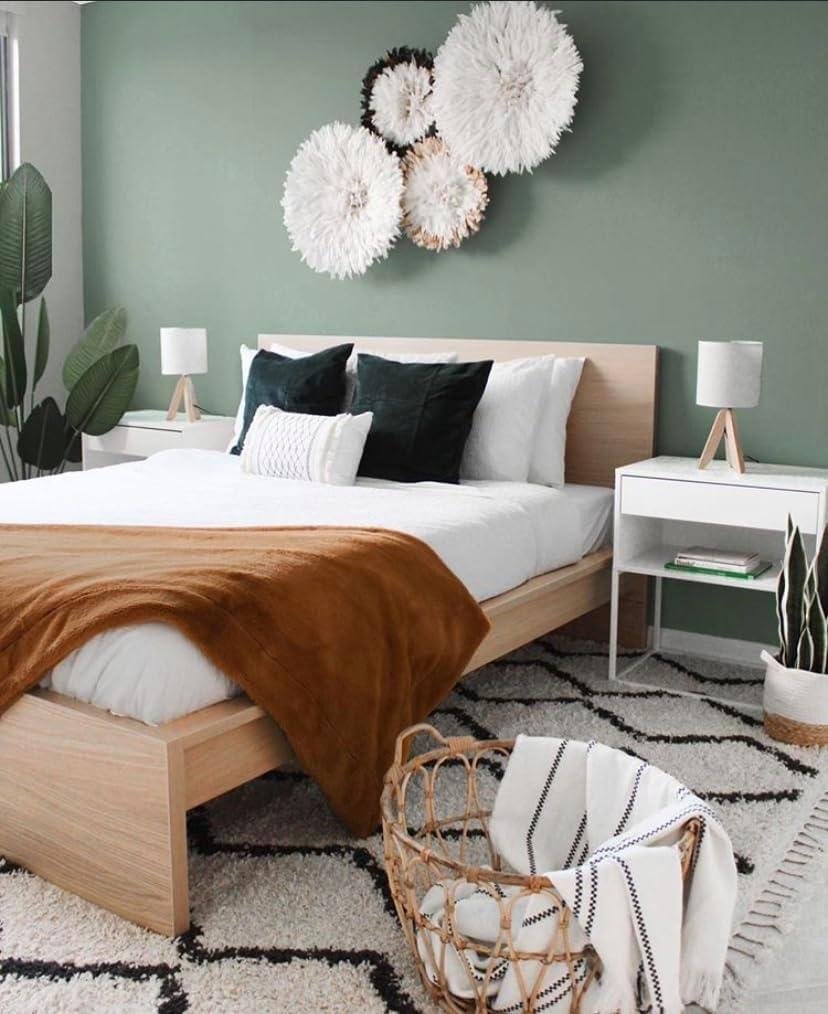 Our Experience with the Elegant 26