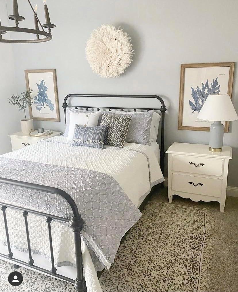 Our Experience with the Elegant 26