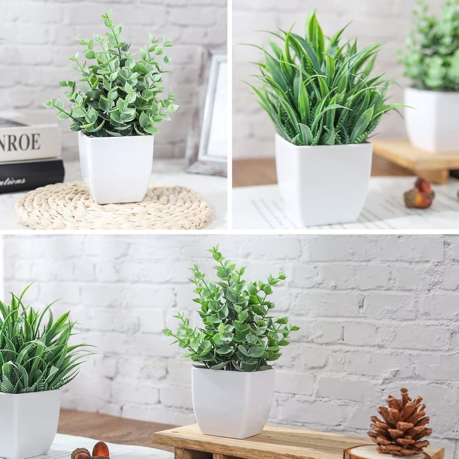 Our Review: Der Rose Mini Fake Plants Add Charm to Any Space