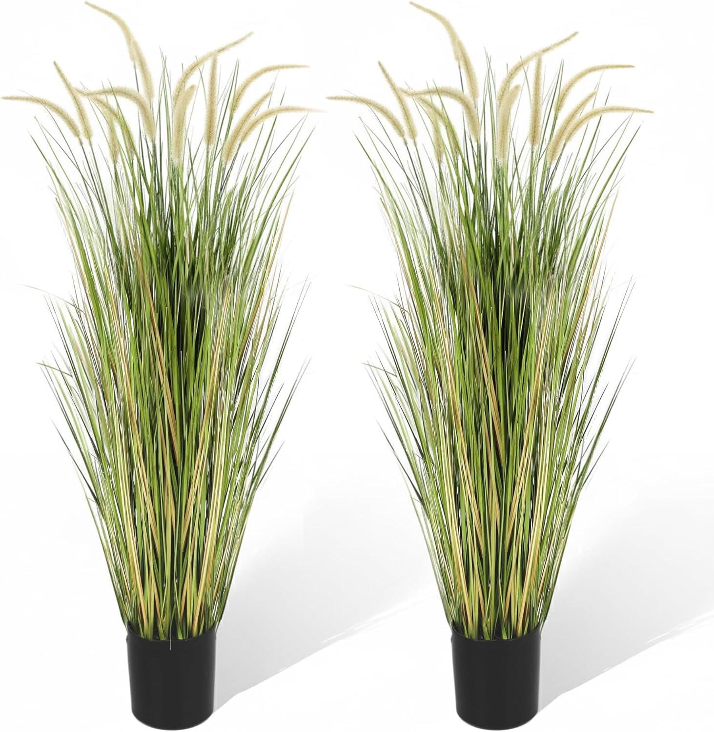 Our Friendly Review: KOL 5ft Horsetail Reed Grass Duo's Look & Quality