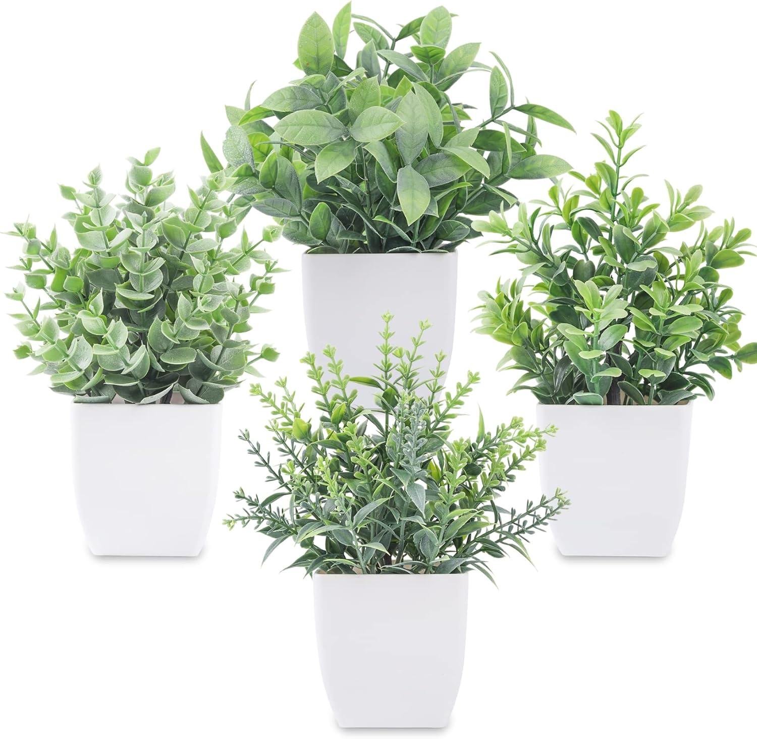 Our Review: Der Rose Mini Plants Add Lifelike Charm to Any Space