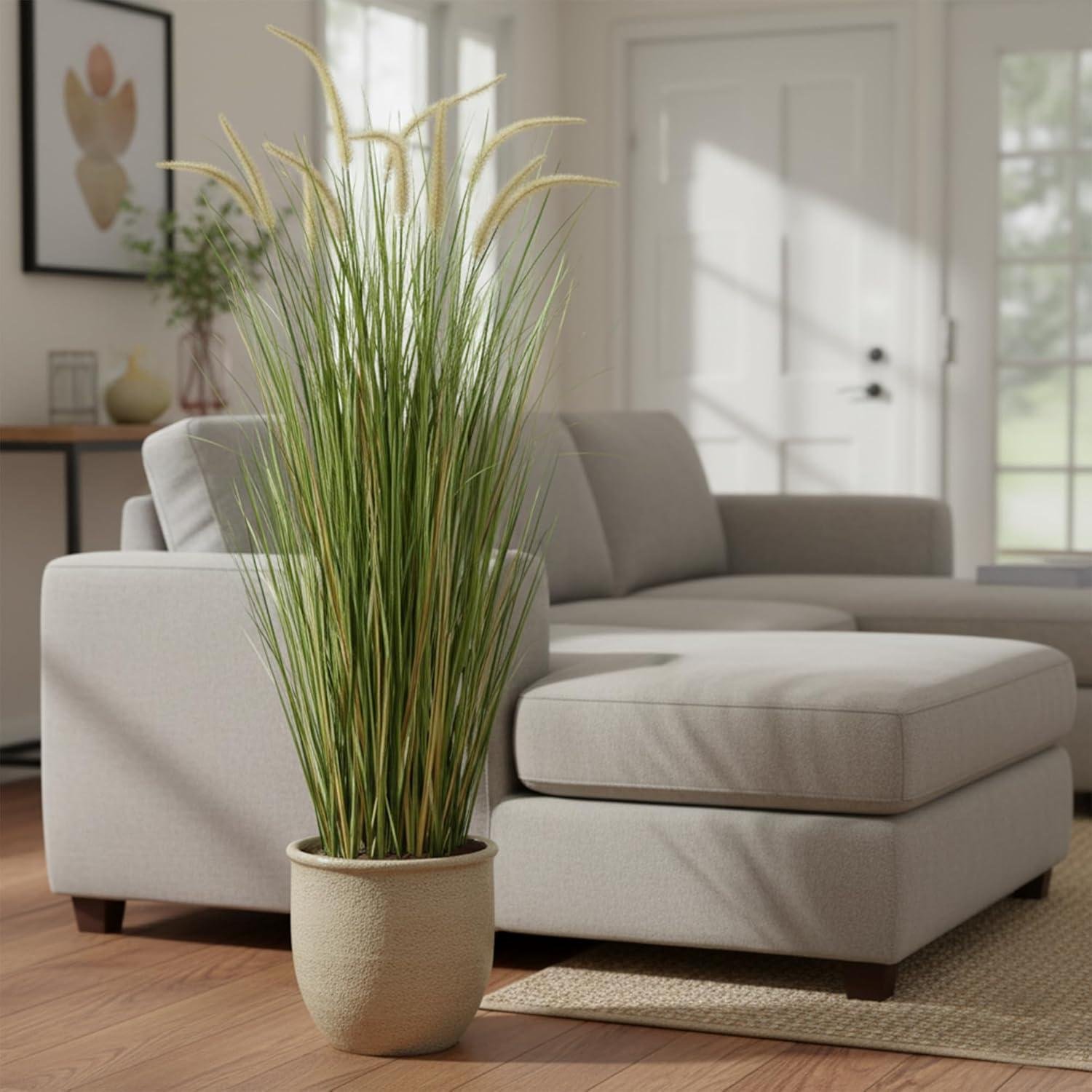 Our Friendly Review: KOL 5ft Horsetail Reed Grass Duo's Look & Quality