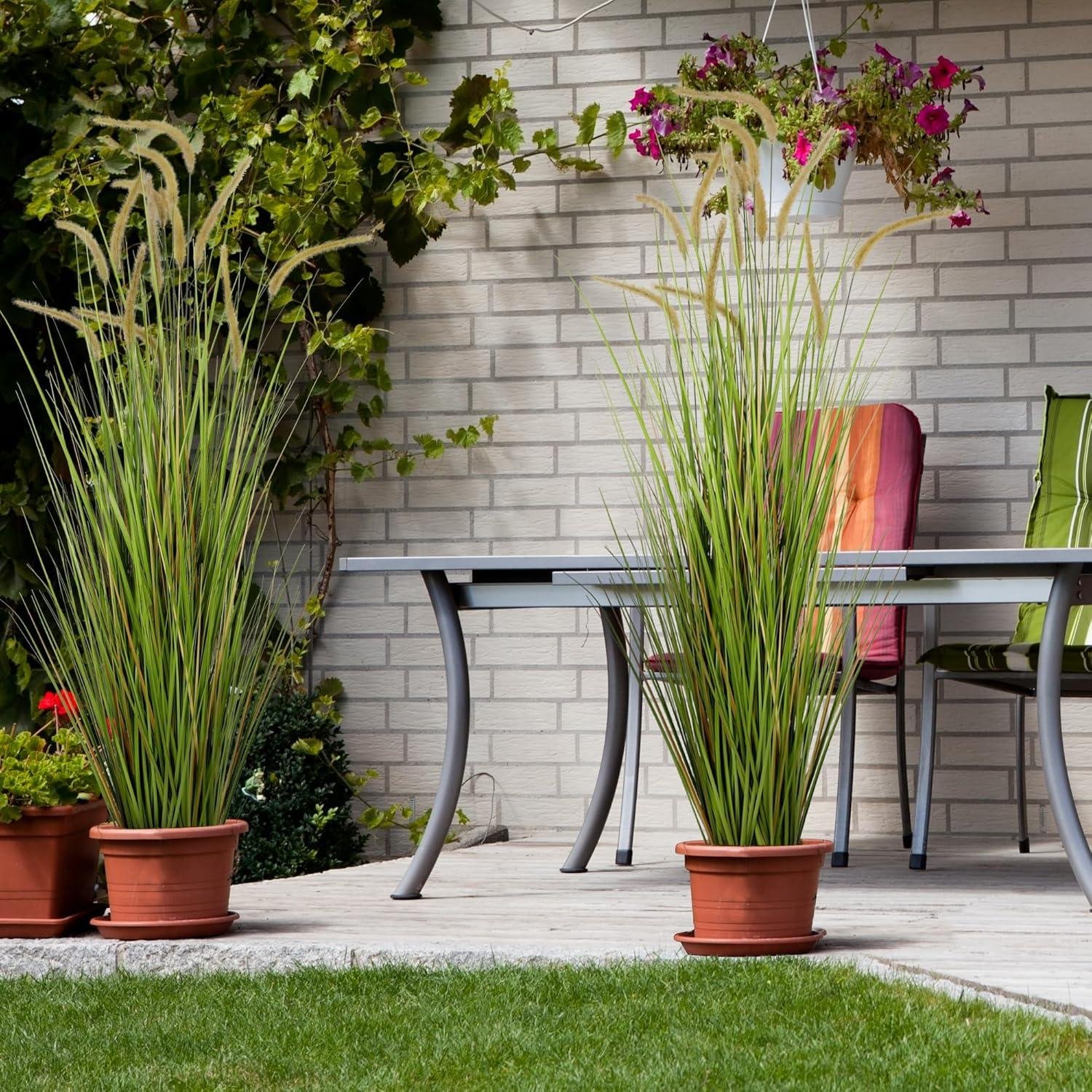 Our Friendly Review: KOL 5ft Horsetail Reed Grass Duo's Look & Quality