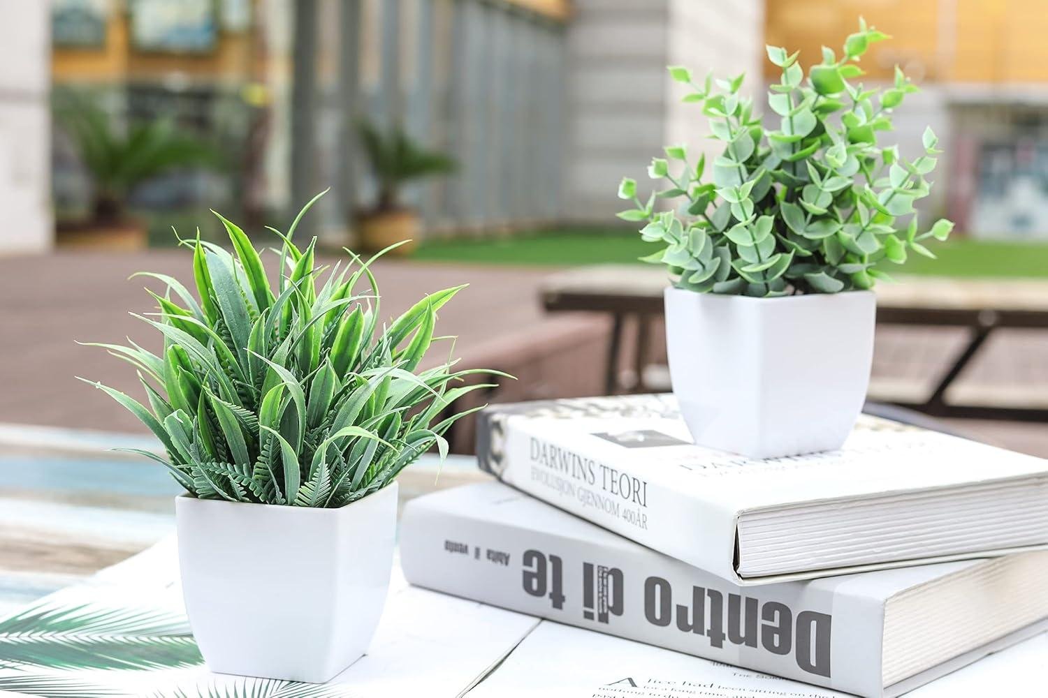 Our Review: Der Rose Mini Fake Plants Add Charm to Any Space