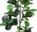 Why We Love the 7ft Artificial Fiddle Leaf Tree for Home Decor