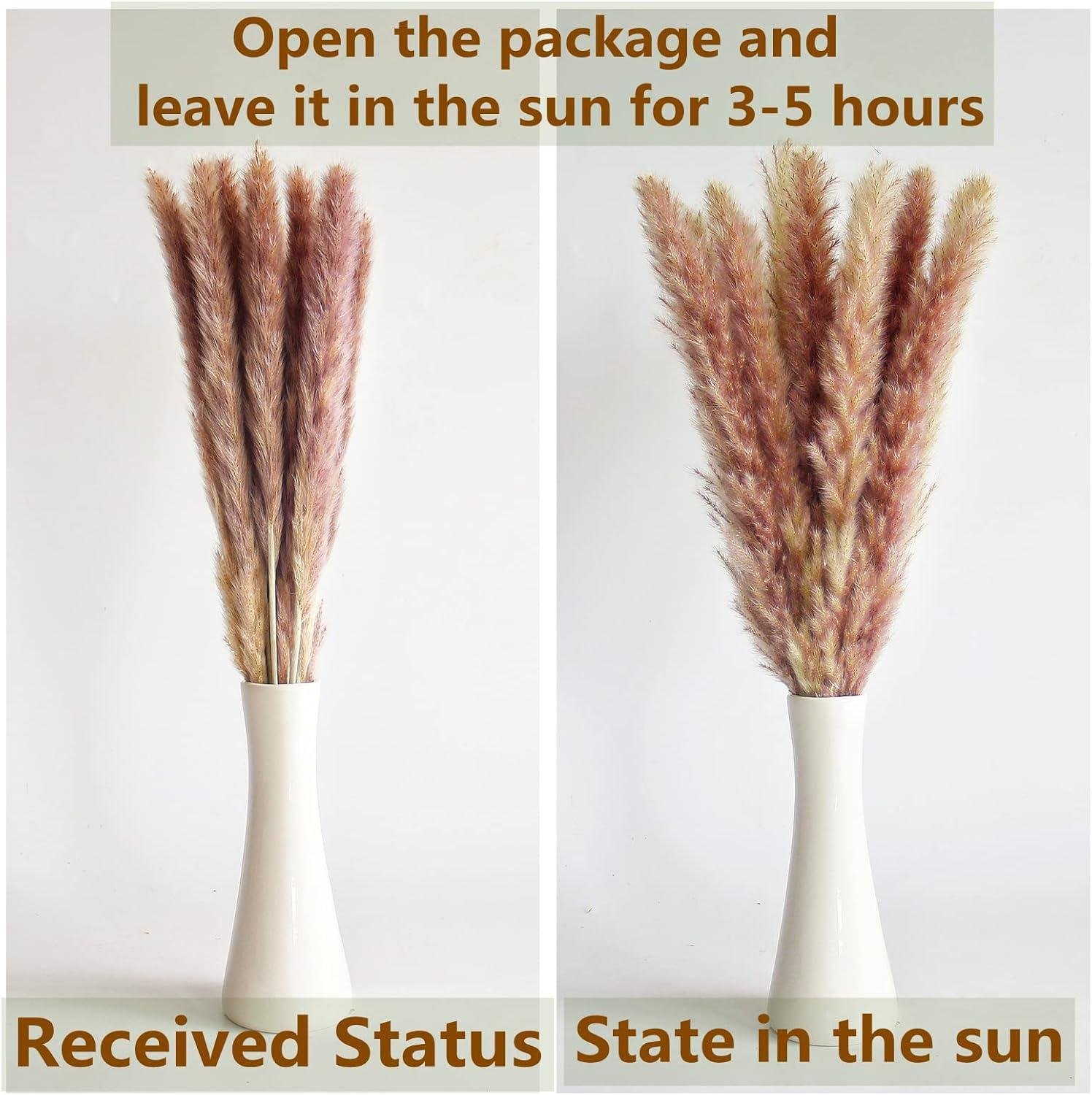 Elevate Your Space with 110-Piece Boho Pampas Decor Set